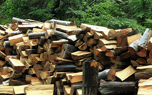 Firewood